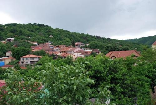 Двухместный (Двухместный номер с 1 кроватью и балконом), Гостевой дом Центральный