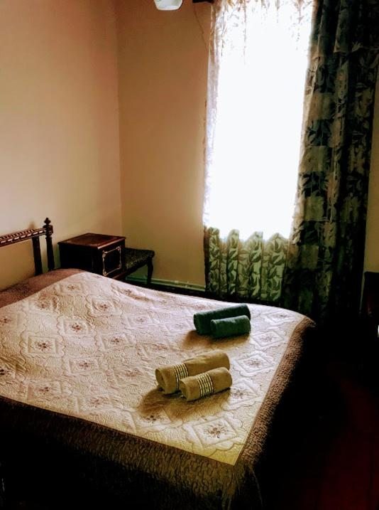 Двухместный (Двухместный номер с 1 кроватью и видом на горы) семейного отеля Kaldani, Местиа