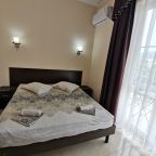 Двухместный (Двухместный номер Делюкс с 1 кроватью и душем), Гостевой дом Надежда