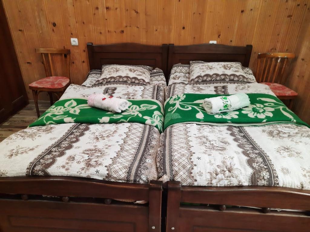 Двухместный (Двухместный номер с 2 отдельными кроватями) гостевого дома Пангани, Местиа