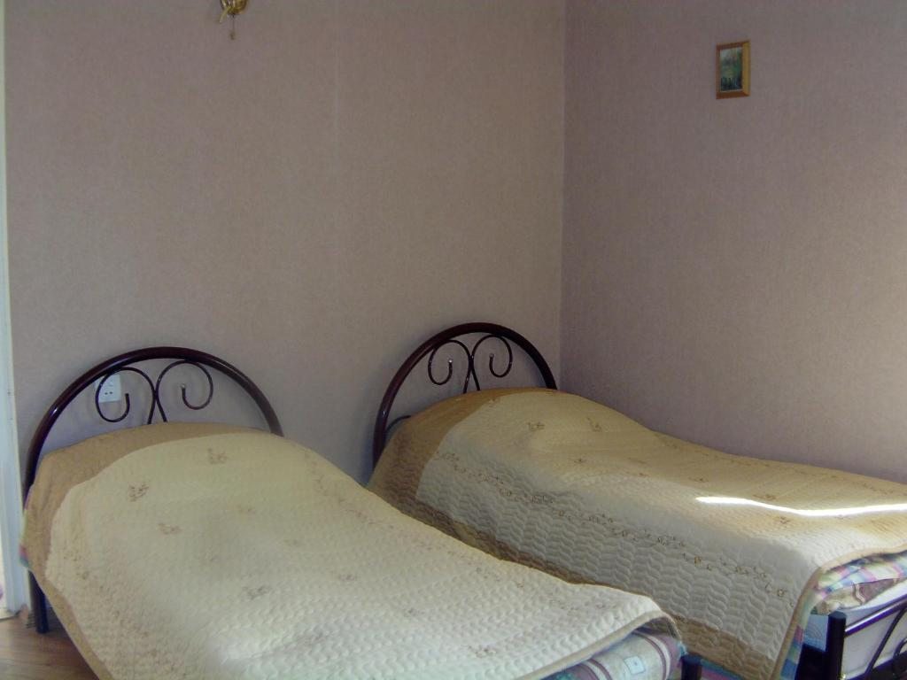 Двухместный (Бюджетный двухместный номер с 1 кроватью) гостевого дома Lia, Телави