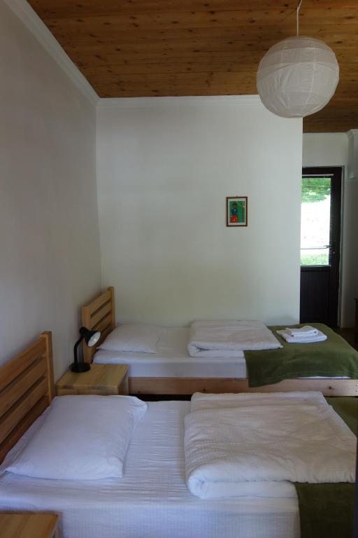 Двухместный (Стандартный двухместный номер с 2 отдельными кроватями) гостевого дома Mountain View, Местиа