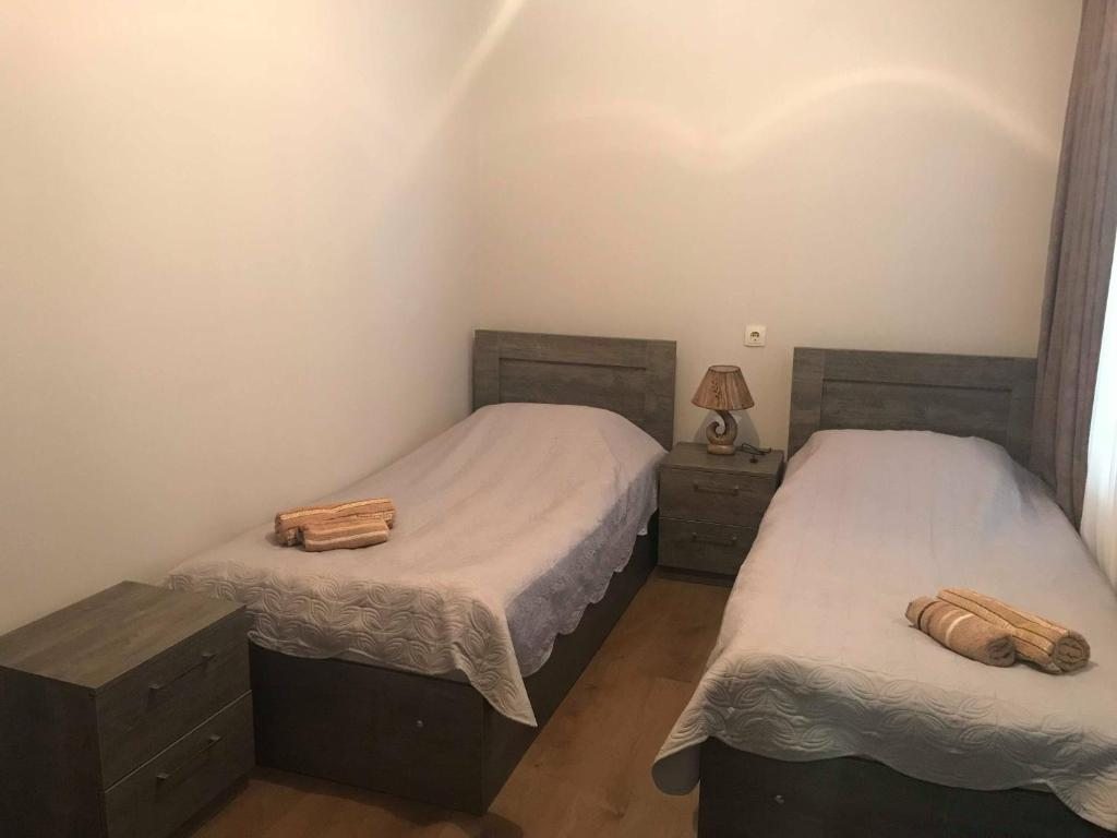 Двухместный (Двухместный номер с 1 кроватью или 2 отдельными кроватями и ванной комнатой) гостевого дома Hotel Ori Beli in Mestia, Местиа