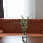 Студио (Двухместный), Отель Булак