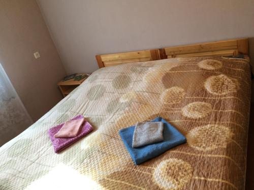 Двухместный (Двухместный номер с 2 отдельными кроватями и общей ванной комнатой) гостевого дома Sana, Местиа