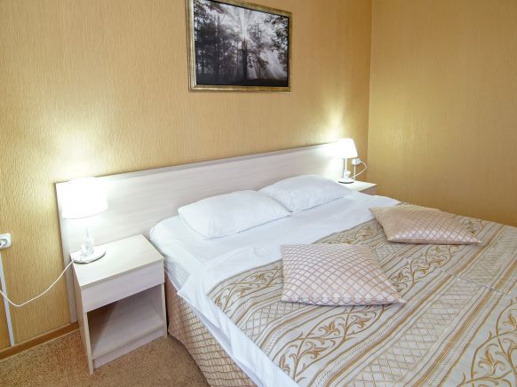 Фотография номера гостиницы ИРИС