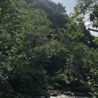 Трехместный (Трехместный номер с видом на озеро), Отель Mtirala National Park