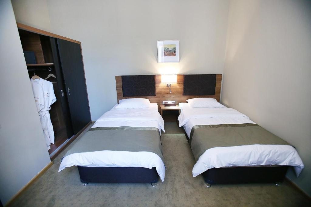 Двухместный (Двухместный номер «Комфорт» с 2 отдельными кроватями) отеля Цхалтубо Плаза