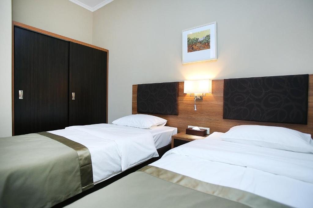 Двухместный (Стандартный двухместный номер с 2 отдельными кроватями) отеля Цхалтубо Плаза