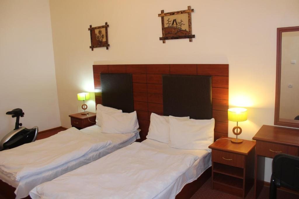 Двухместный (Двухместный номер «Комфорт» с 1 кроватью или 2 отдельными кроватями) отеля Дилижанс