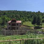 Номер (Дом с 4 спальнями), Отель Головино