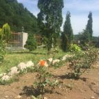 Номер (Дом с 2 спальнями), Отель Головино