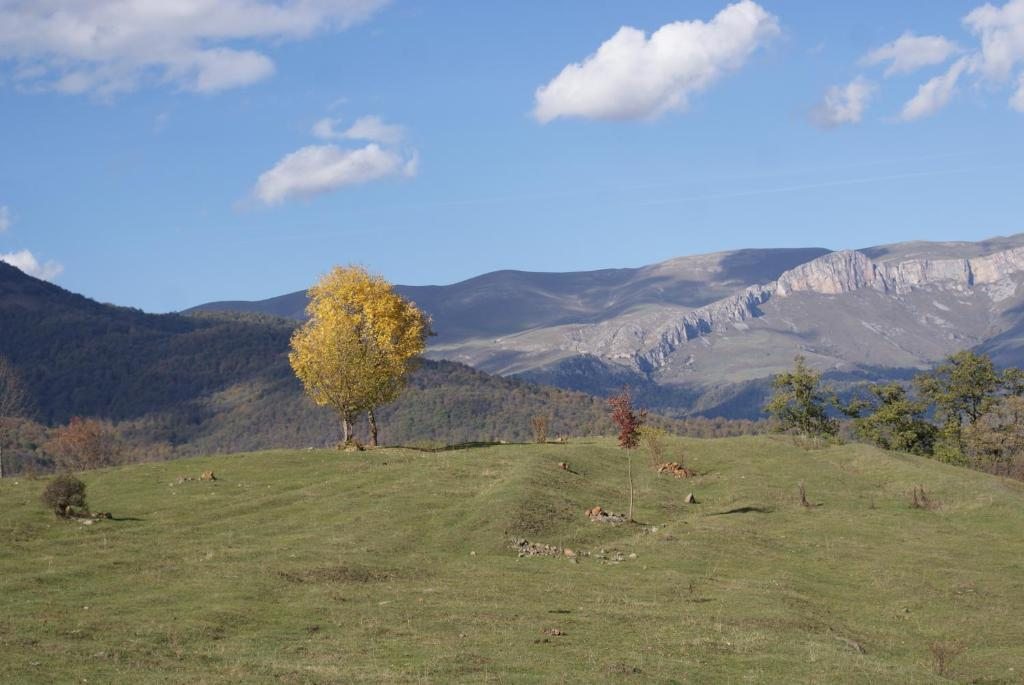 Номер (Коттедж), Отель Takht House