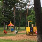 Детская площадка расположена на Кратовском озере