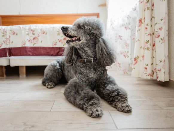 Гостиница Теремок Московский