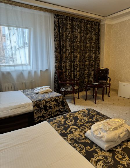 Фотография номера гостиницы Арена Сити