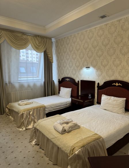 Фотография номера гостиницы Арена Сити