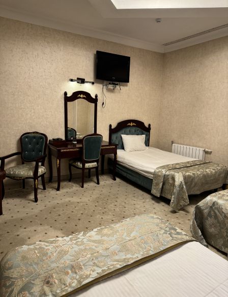 Фотография номера гостиницы Арена Сити