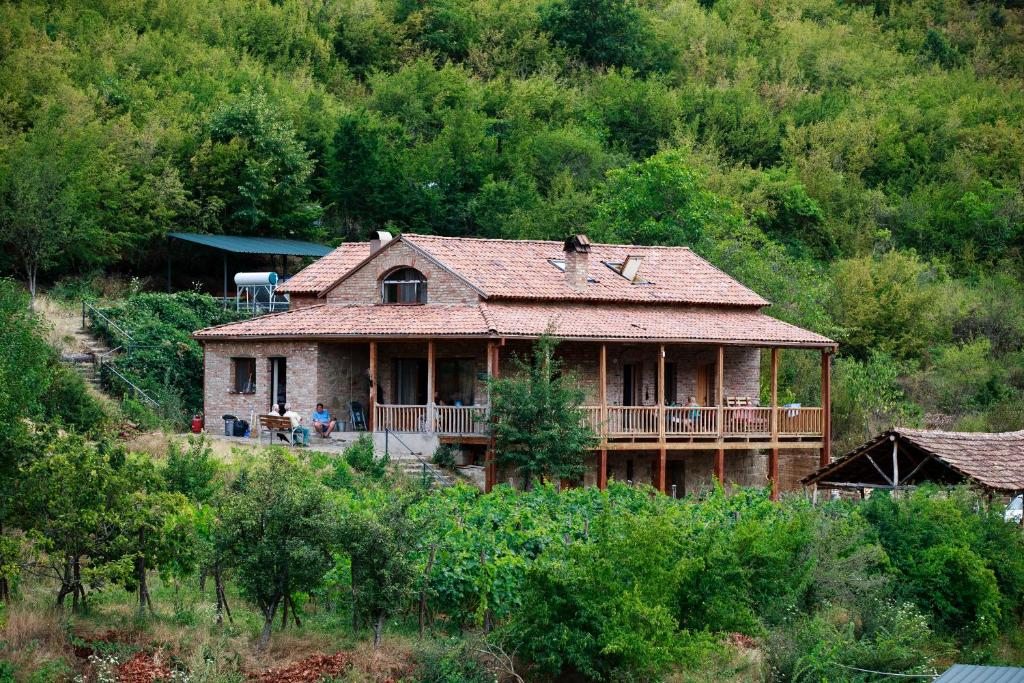Гостевой дом Nika Vacheishvili's, Диди-Атени