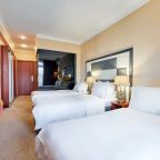 Двухместный (Standart), Vnukovo Village Park Hotel & Spa
