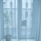 Люкс (Комната с камином), Меблированные комнаты Басков