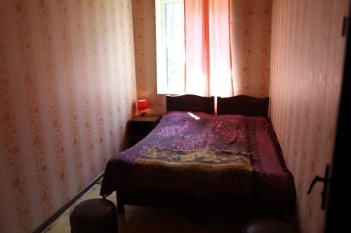 Двухместный (Бюджетный двухместный номер с 2 отдельными кроватями) гостевого дома Edelweiss, Ушгули