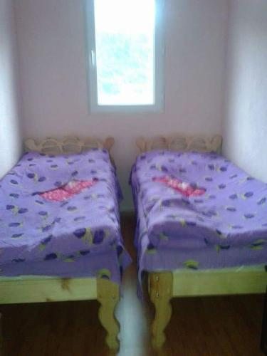 Двухместный (Двухместный номер с 1 кроватью) гостевого дома Mose, Ушгули