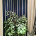 De Luxe (С 1 кроватью и душем), Гостевой дом Хуторок