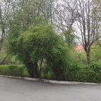 Сад, Гостиница Чайка