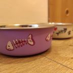 Проживание с питомцами по запросу, Гостиница Чайка