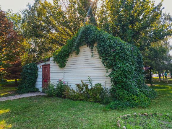 Фотография номера базы отдыха Бережок