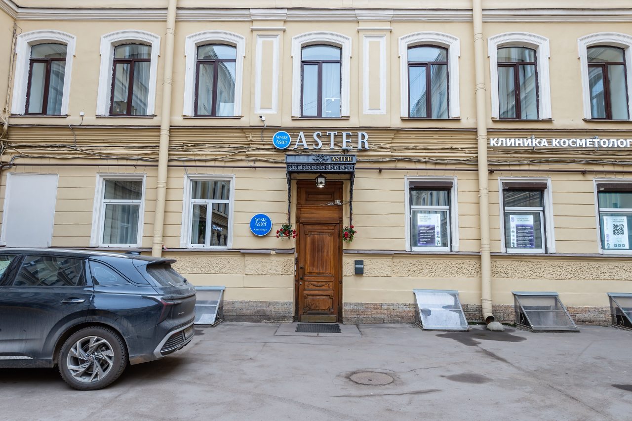 Люкс (Просторный номер), Апартаменты Невский Астер
