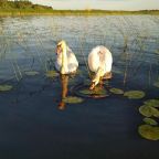 Дом (для отпуска с 4 спальнями), Гостевой двор Хутор Скреблово