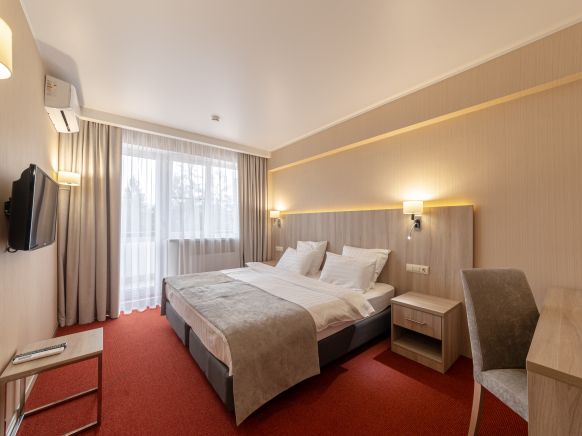 Фотография номера гостиницы Синдика