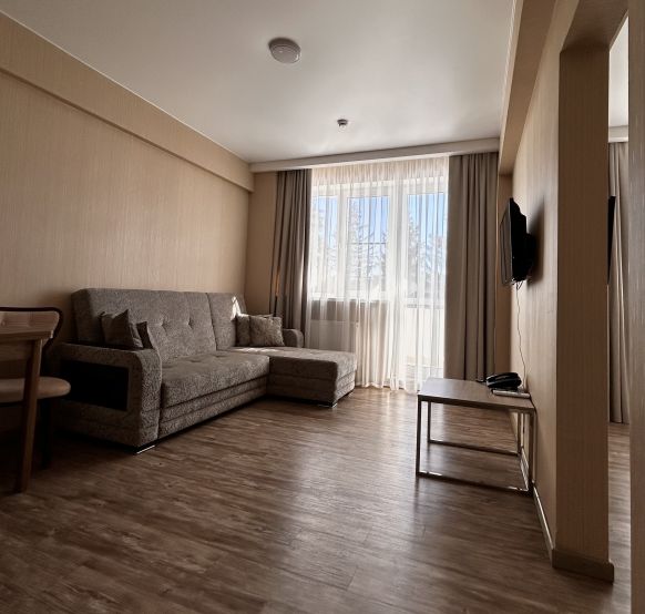 Фотография номера гостиницы Синдика