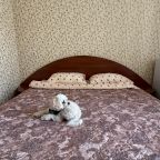 Допускается размещение домашних животных, Гостиница Комсомольская