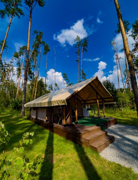 Фотография номера базы отдыха Отрада