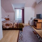 Одноместный (Стандарт № 3), Гостиница Золотой лев