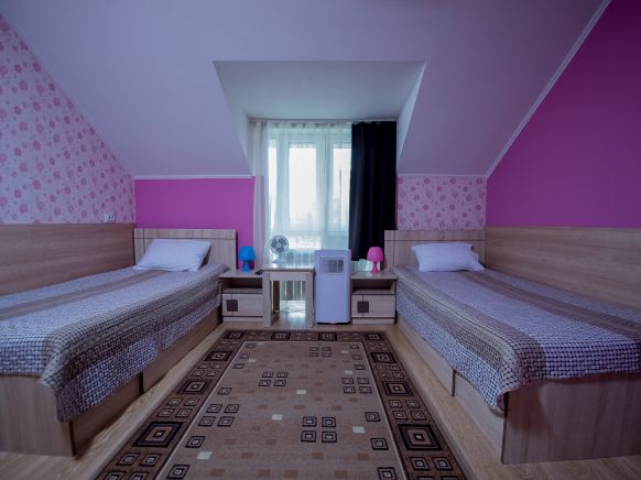 Фотография номера гостиницы Золотой лев