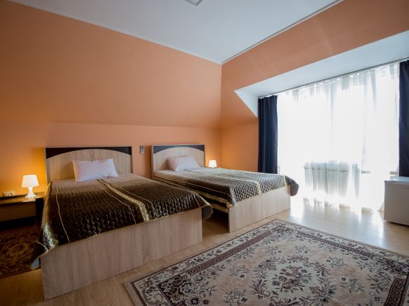 Фотография номера гостиницы Золотой лев