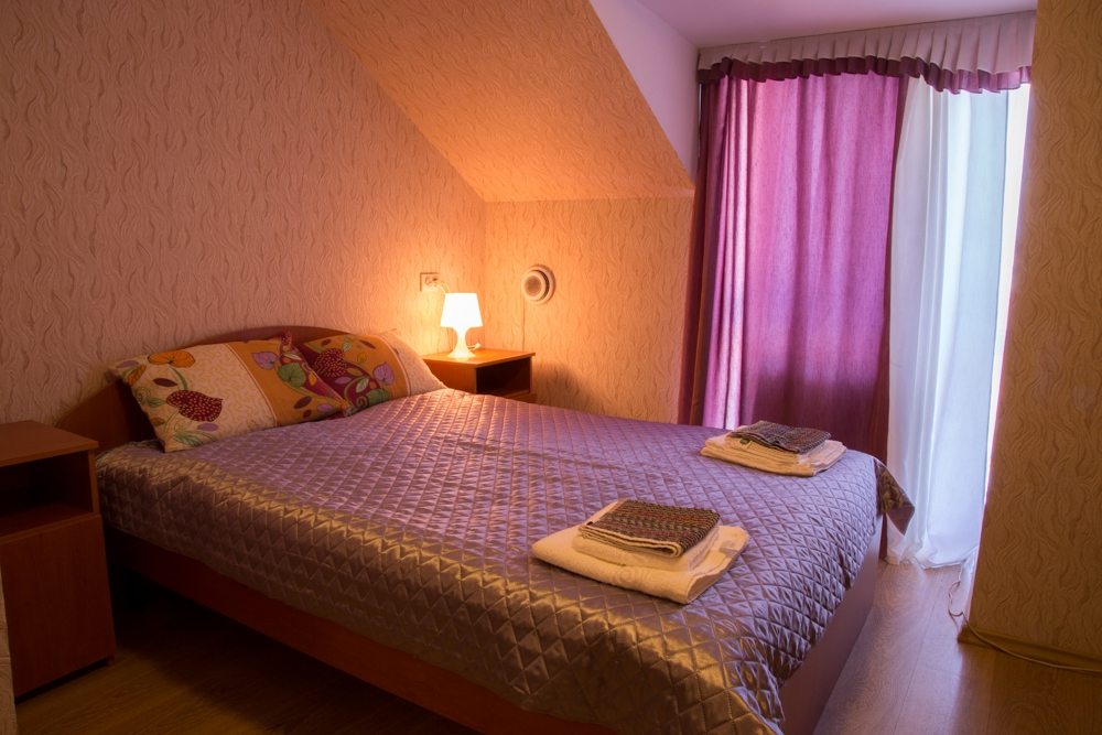 Двухместный (Стандарт(эконом) с двумя односпальными кроватями № 8Б) гостиницы Золотой лев, Омск