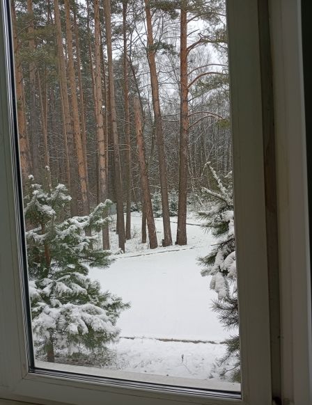 Фотография номера мини отеля Берлога