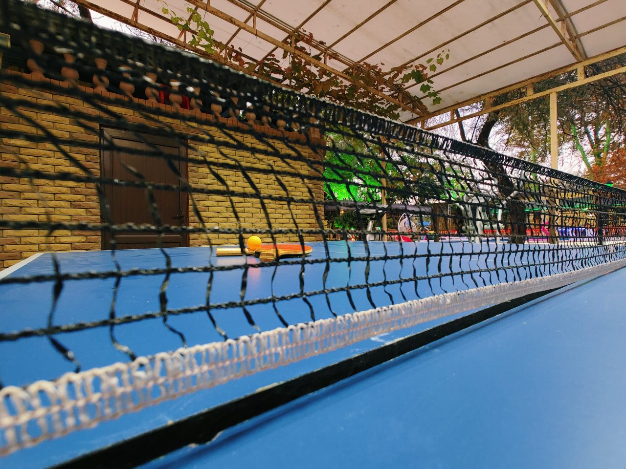 Настольный теннис