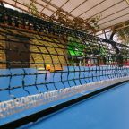 Настольный теннис