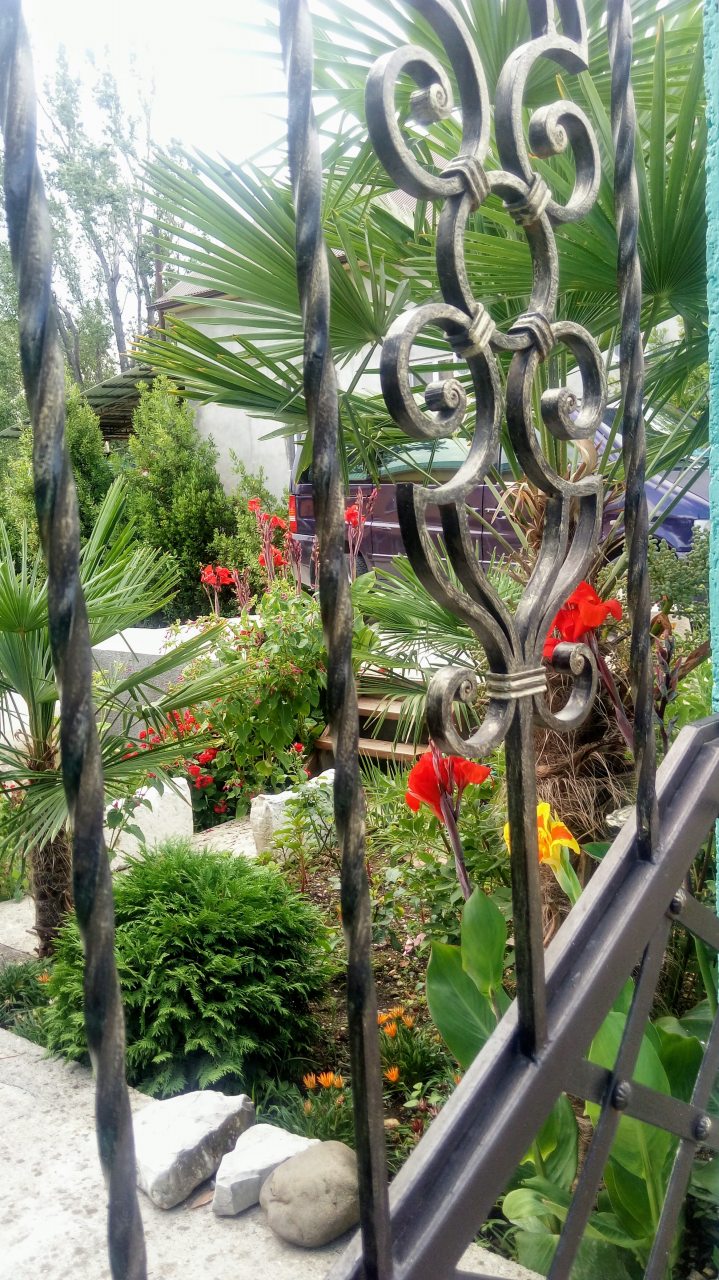 Озелененная территория с хвойными и тропическими растениями, Отель Eco Life