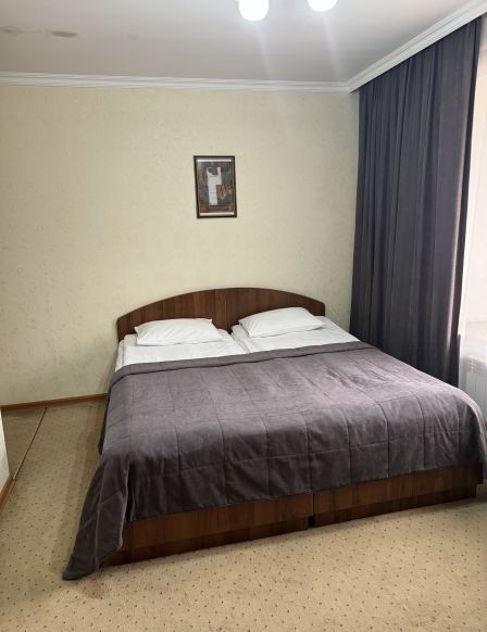 Фотография номера гостиницы Турист