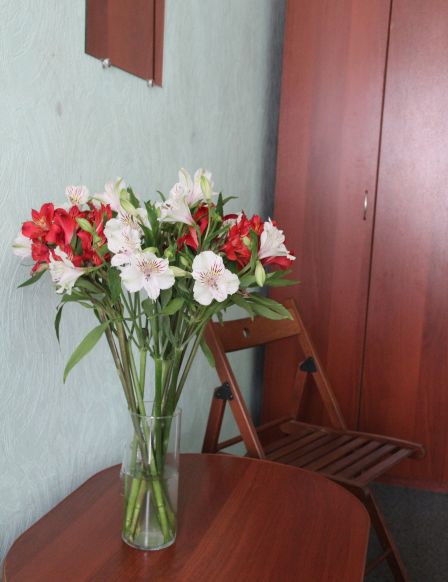 Фотография номера мини отеля Особняк Молво