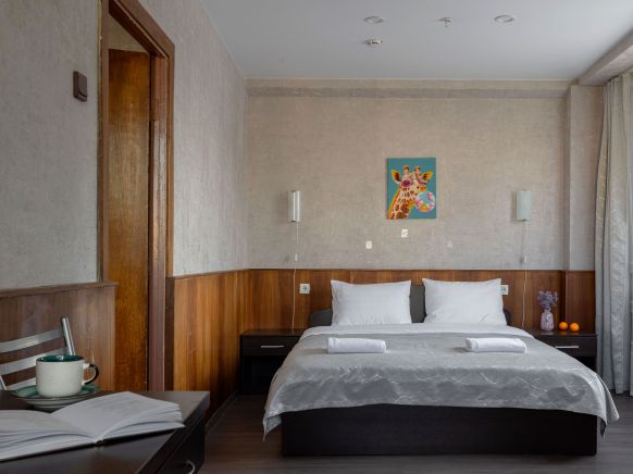 Фотография номера гостиницы Арена