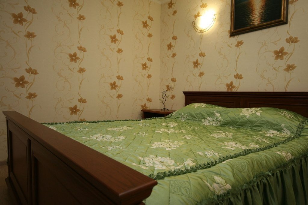 Двухместный (Стандарт Double) гостиницы Красная горка, Оренбург