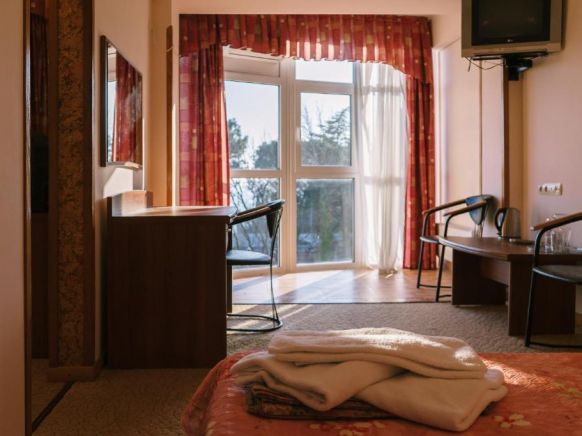 Фотография номера гостиницы Золотая Пальма